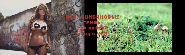 первитин Армянск