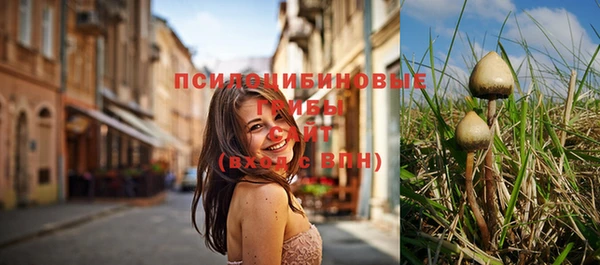 первитин Армянск